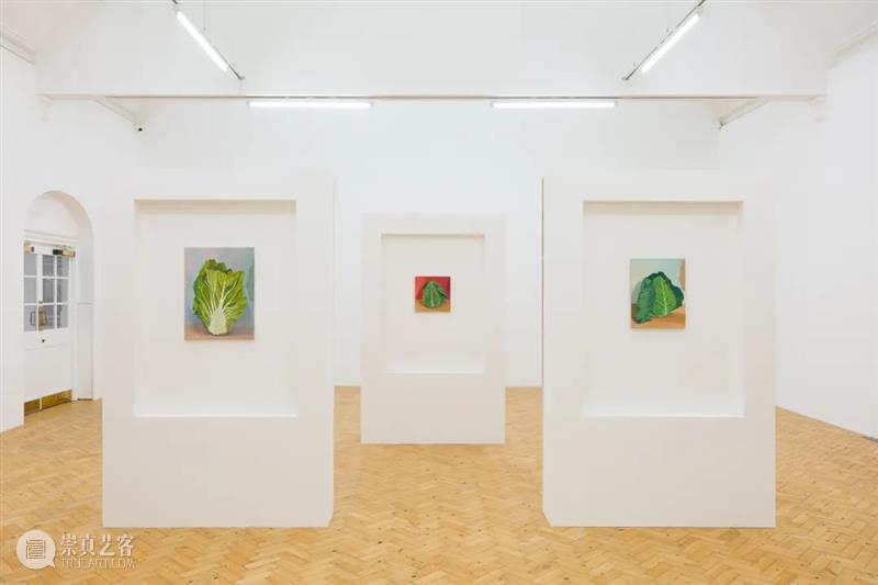 现场 | Allison Katz艾莉森·卡茨个展“Artery”@Camden Art Centre Antenna Space 艾莉森 卡茨 个展 Artery 现场 Allison Katz Camden Art Centre 崇真艺客